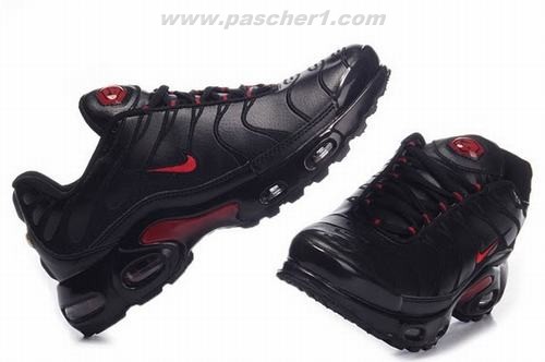 nike tn dauphin